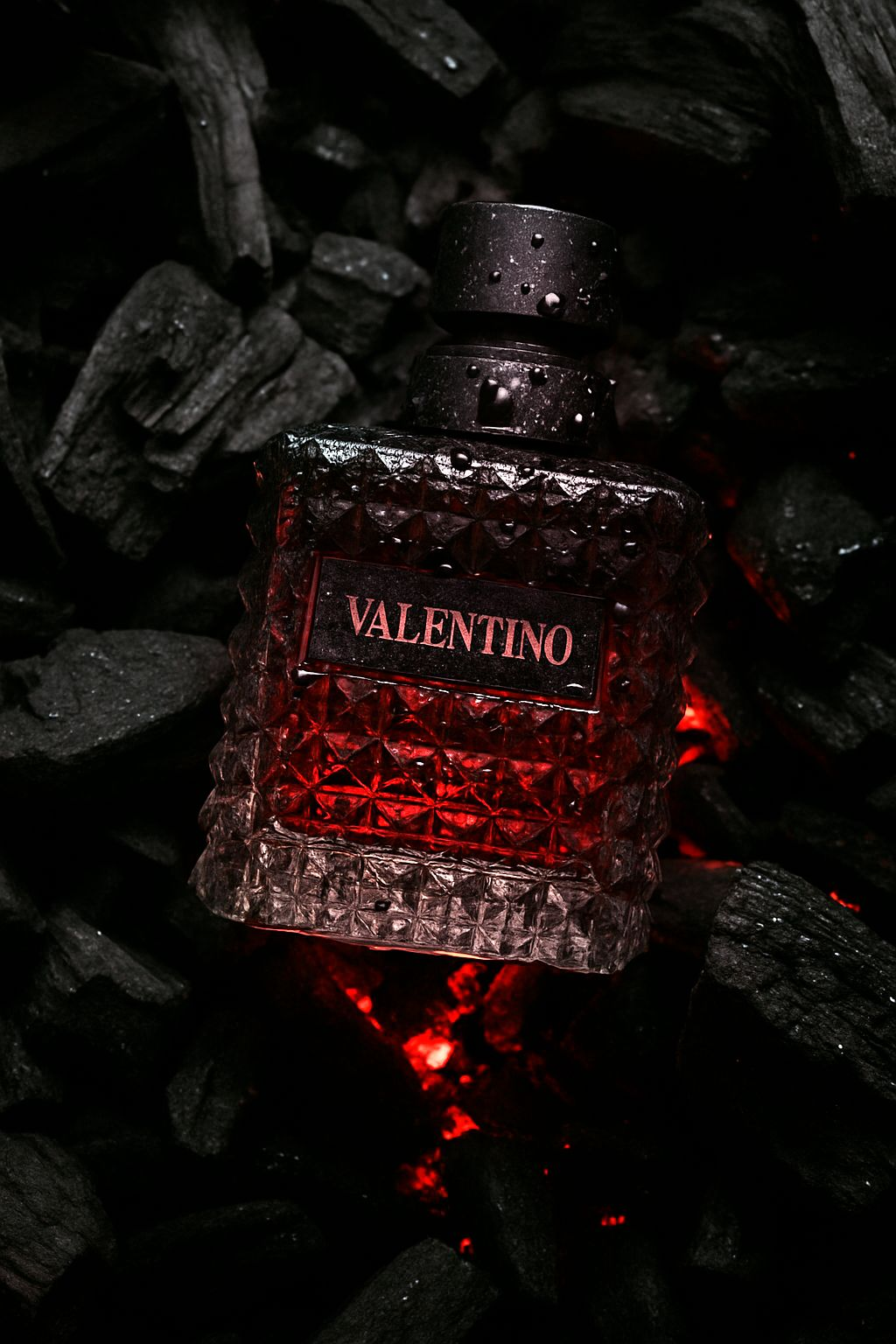 Perfumes Fiesta
